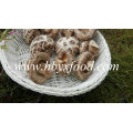 Nourriture sèche aux champignons Shiitake aux fleurs blanches